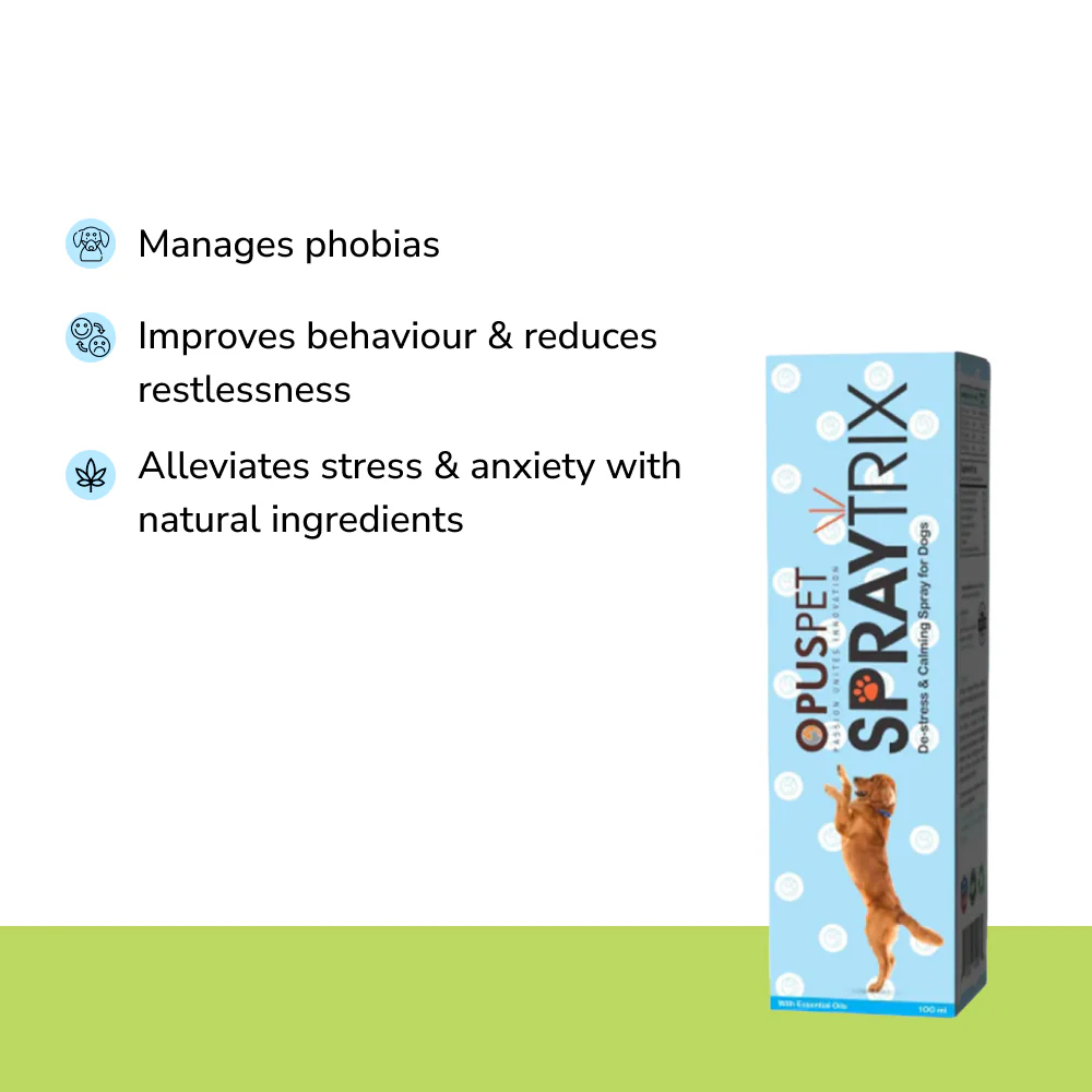 Anxiety Relief Combo Superkit for Dogs - Image 4