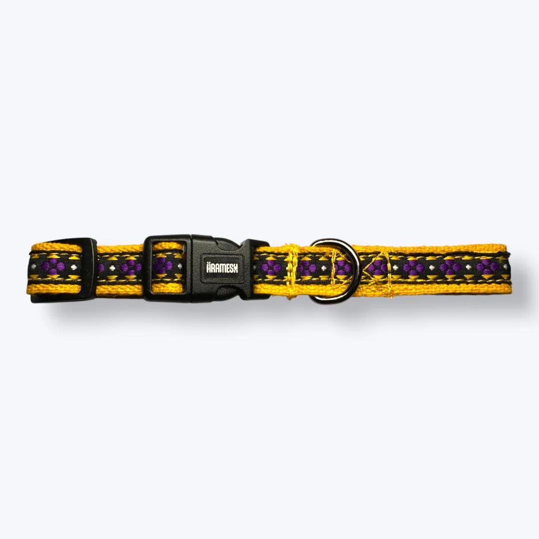 Aramesh Amber Paws Collar for Cats (Yellow and Purple) - Image 4