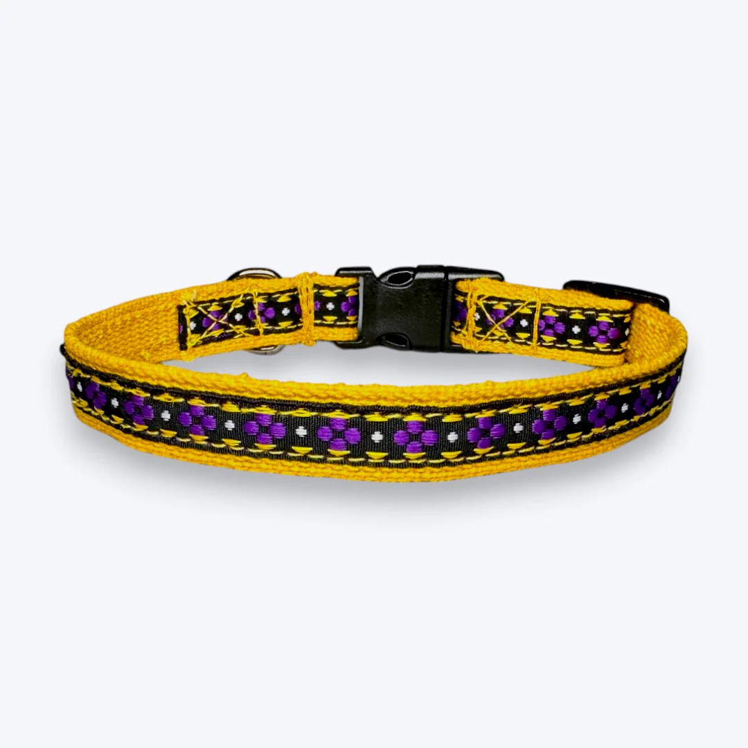 Aramesh Amber Paws Collar for Cats (Yellow and Purple) - Image 5