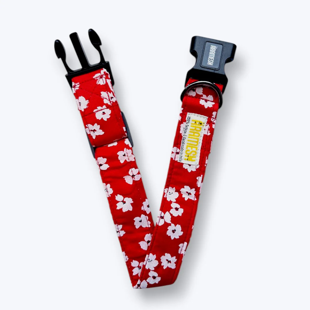 Aramesh Cherry Blossom Adjustable Collar for Dogs (Red and White) - Image 3
