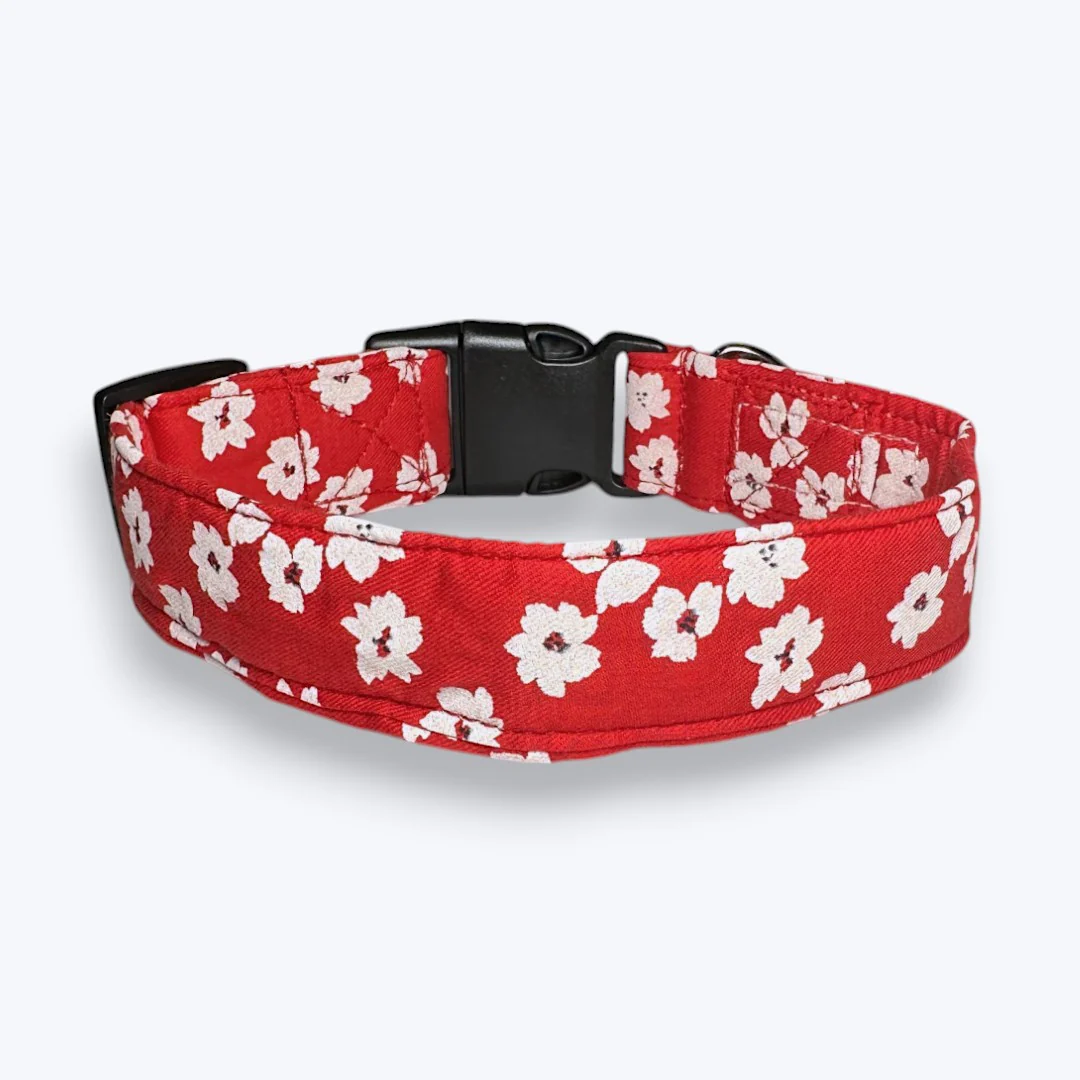 Aramesh Cherry Blossom Adjustable Collar for Dogs (Red and White) - Image 4