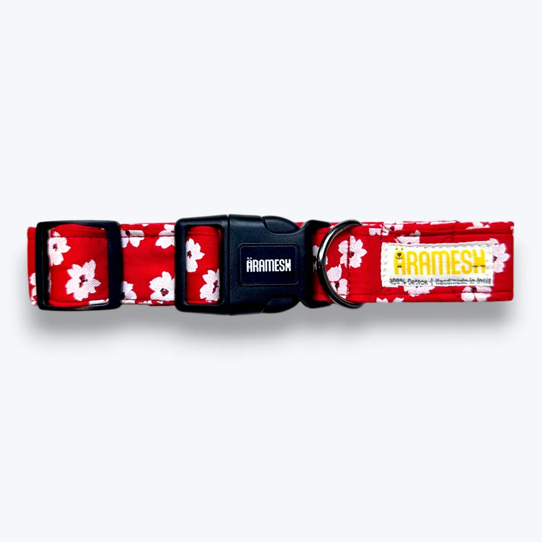Aramesh Cherry Blossom Adjustable Collar for Dogs (Red and White) - Image 5
