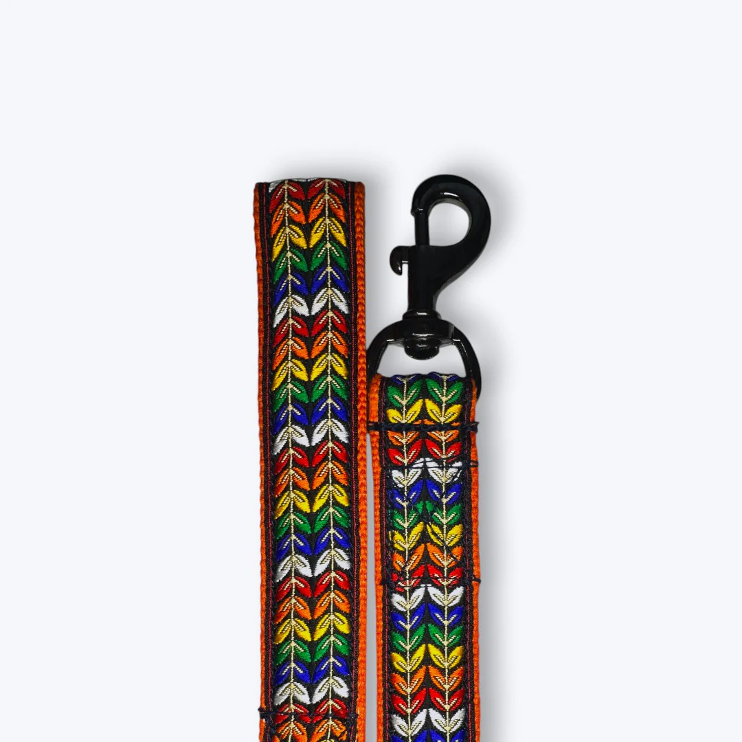 Aramesh Colorful Trails Leash for Dogs (Orange with Multicolor) - Image 3