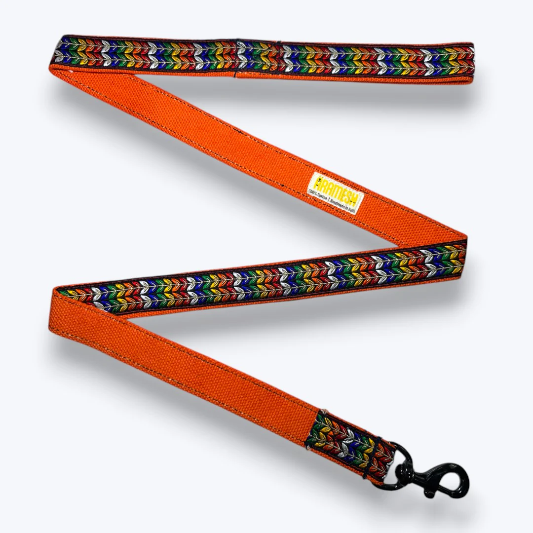Aramesh Colorful Trails Leash for Dogs (Orange with Multicolor) - Image 4