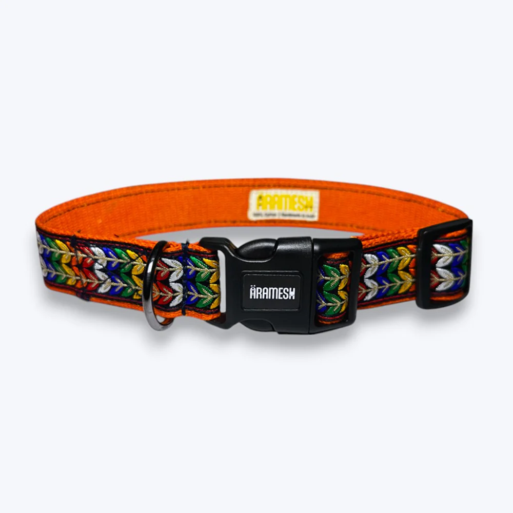 Aramesh Colourful Trails Adjustable Collar for Dogs (Orange)