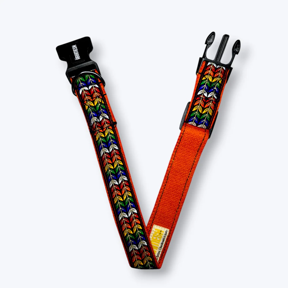 Aramesh Colourful Trails Adjustable Collar for Dogs (Orange) - Image 4