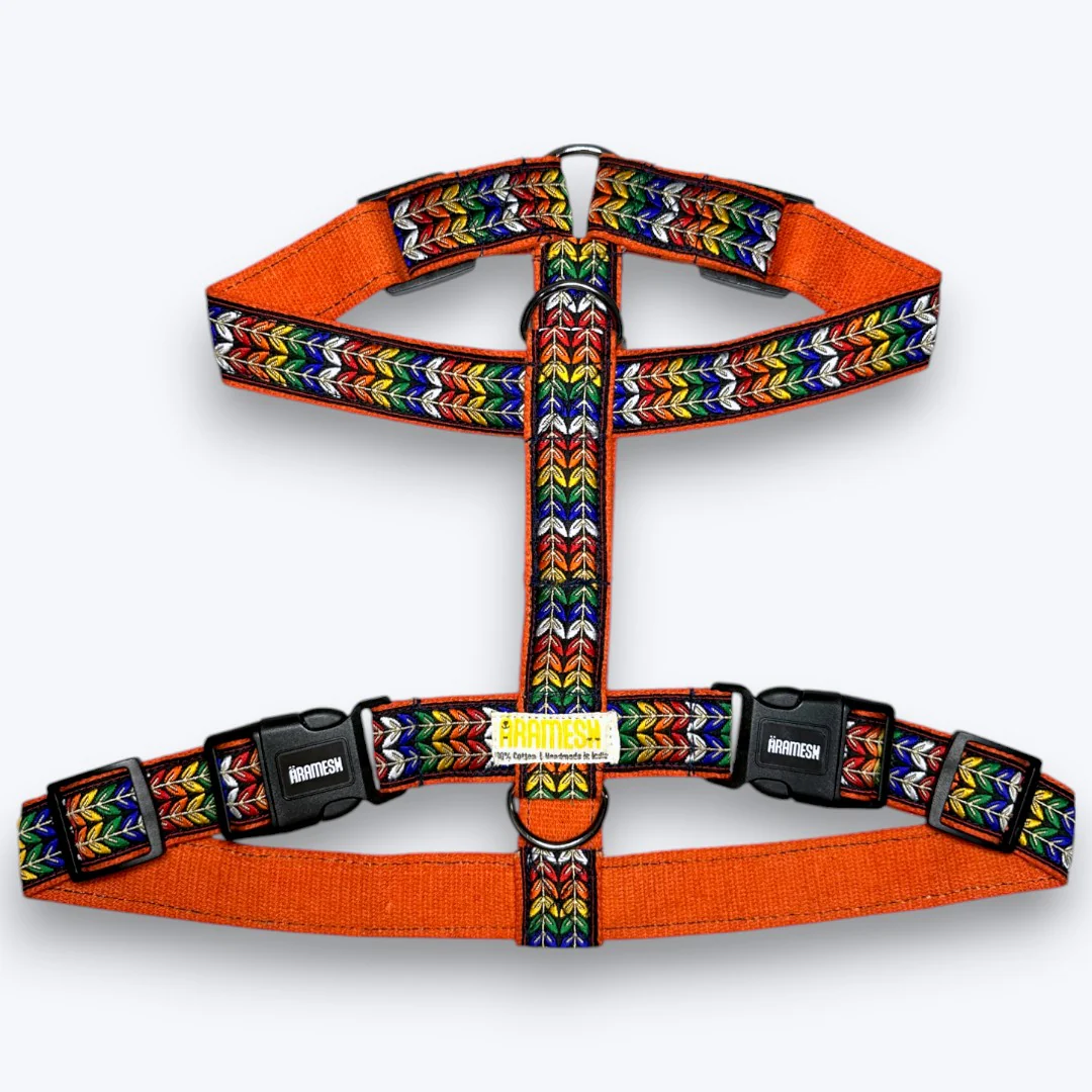 Aramesh Colourful Trails Harness for Dogs (Orange)
