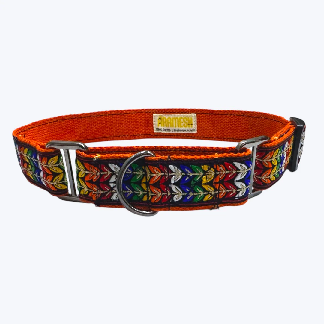 Aramesh Colourful Trails Martingale Collar for Dogs (Orange) - Image 3