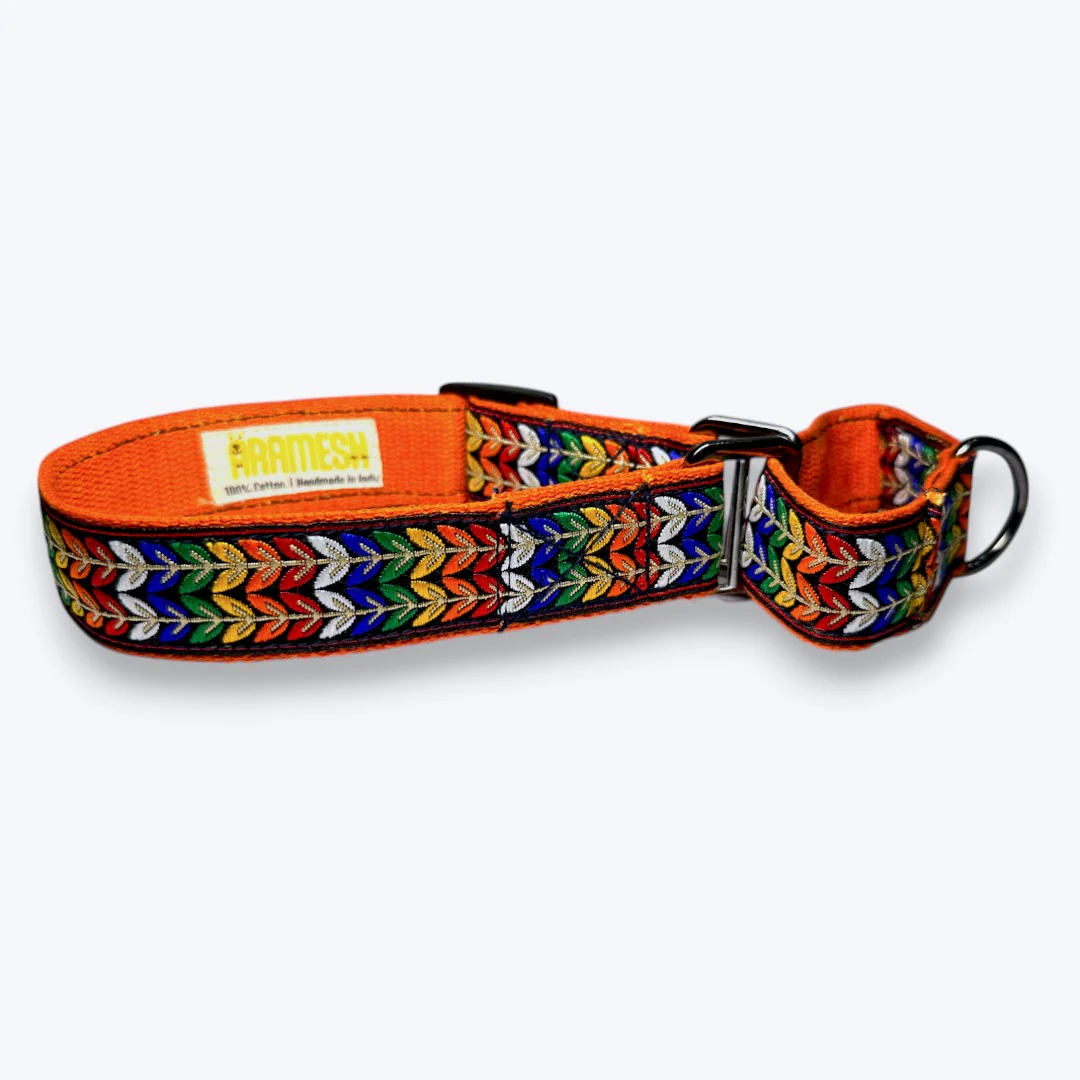 Aramesh Colourful Trails Martingale Collar for Dogs (Orange) - Image 4