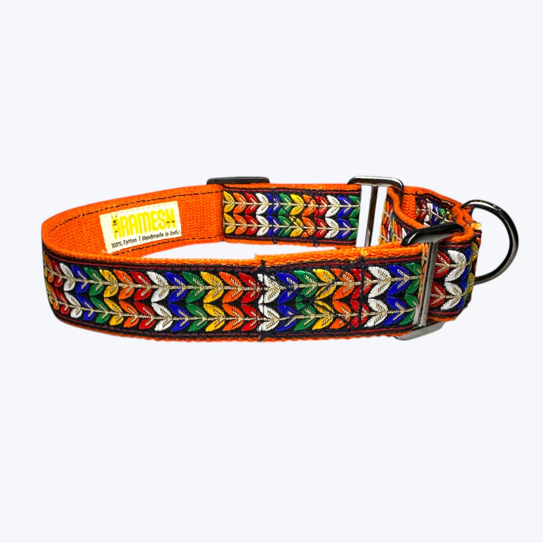 Aramesh Colourful Trails Martingale Collar for Dogs (Orange) - Image 5