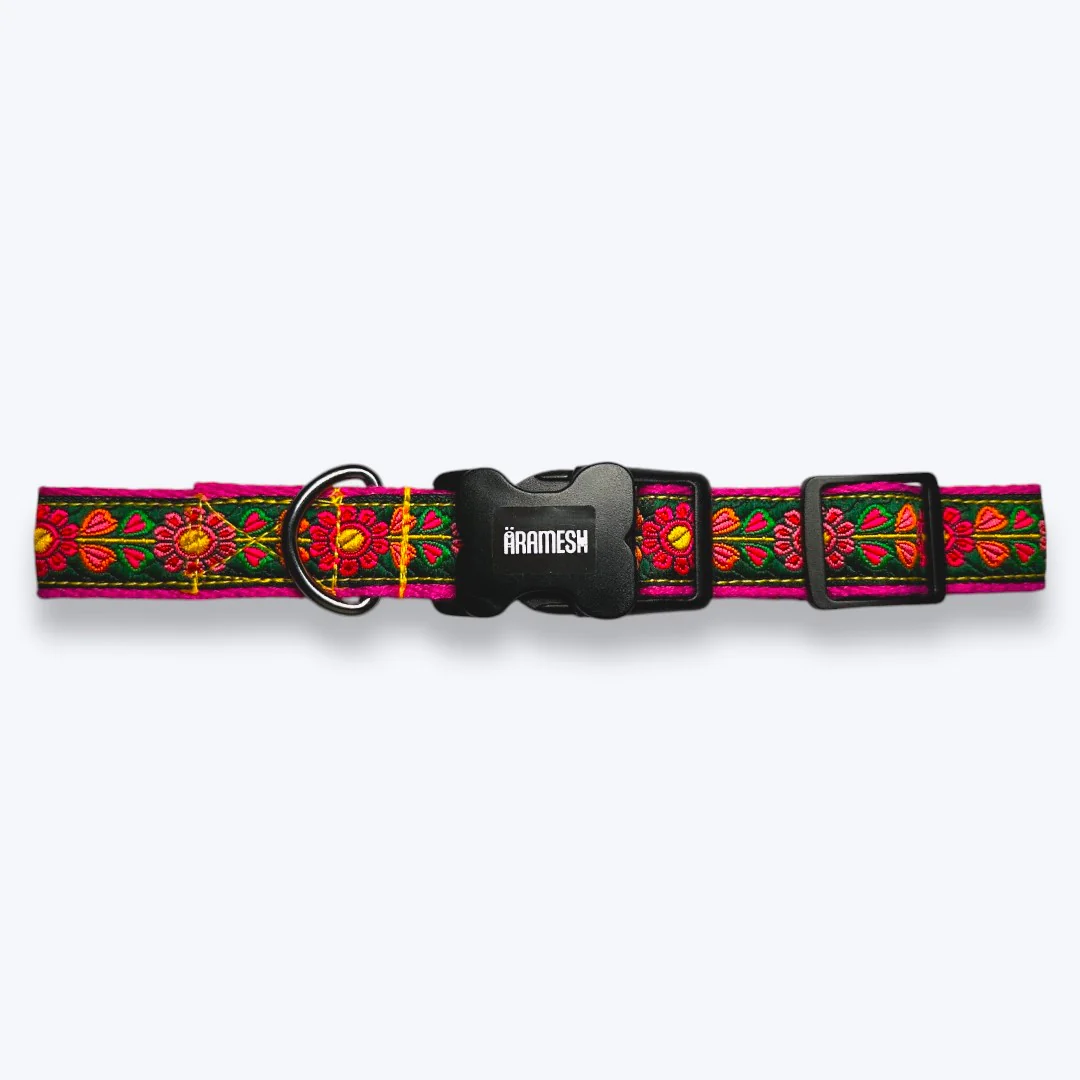 Aramesh Emerald Glow Adjustable Collar for Dogs (Pink and Green) - Image 3