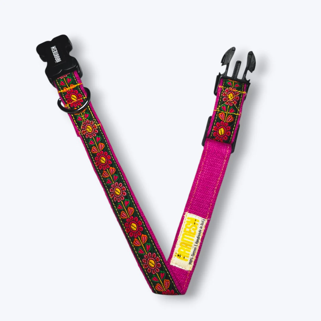 Aramesh Emerald Glow Adjustable Collar for Dogs (Pink and Green) - Image 4