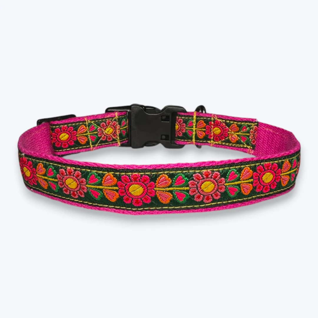 Aramesh Emerald Glow Adjustable Collar for Dogs (Pink and Green) - Image 5