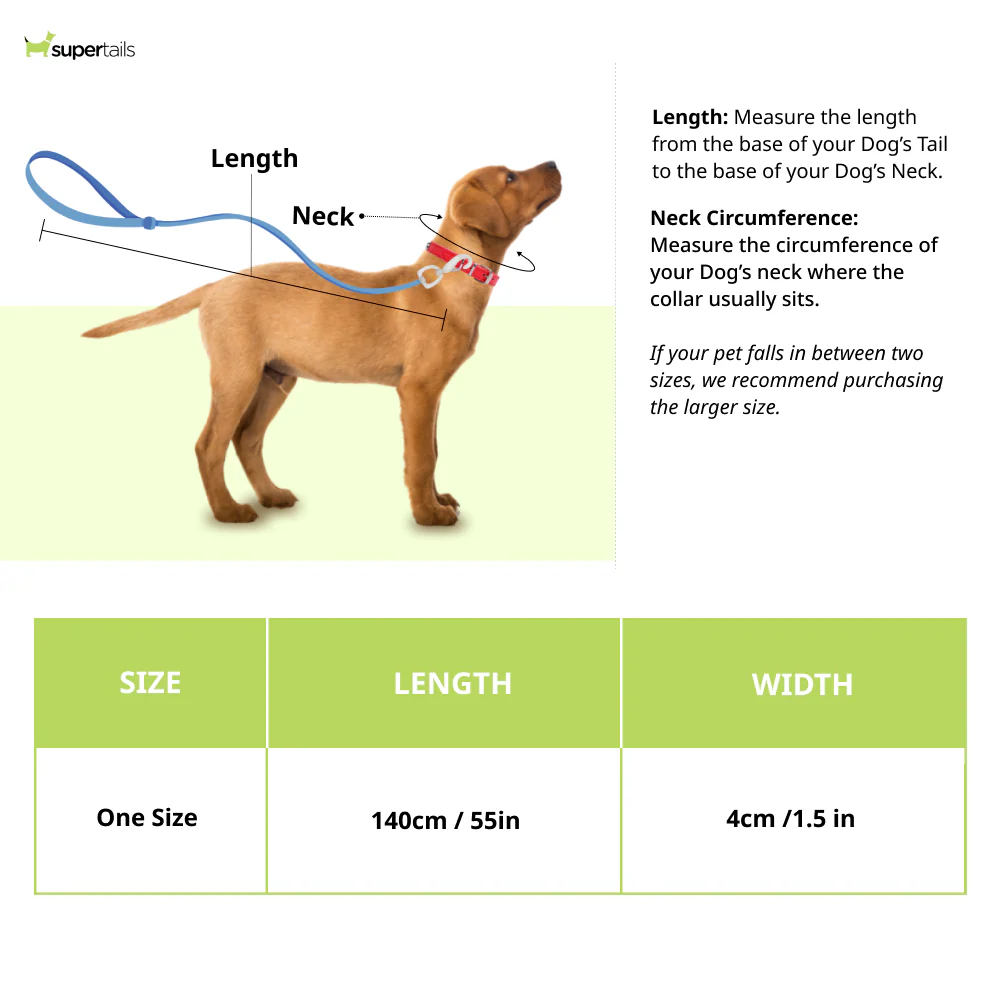 Aramesh Colorful Trails Leash for Dogs (Orange with Multicolor) - Image 2