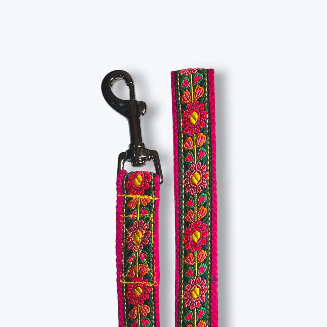 Aramesh Emerald Glow Leash for Dogs (Pink and Green) - Image 3