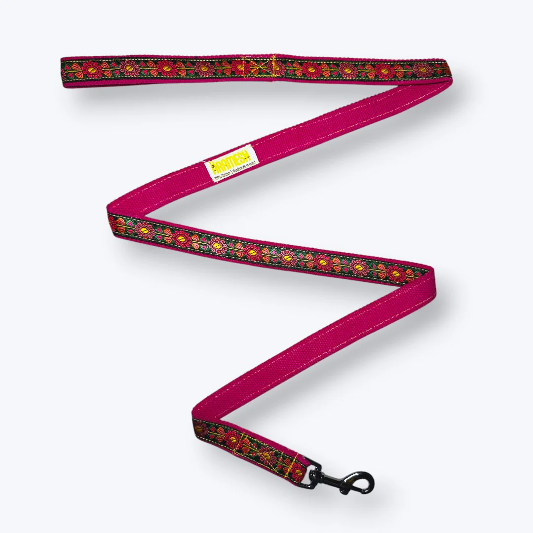 Aramesh Emerald Glow Leash for Dogs (Pink and Green) - Image 4