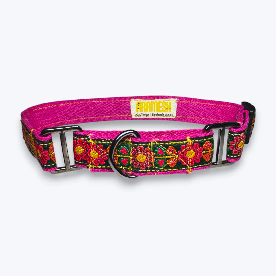 Aramesh Emerald Glow Martingale Collar for Dogs (Pink and Green)