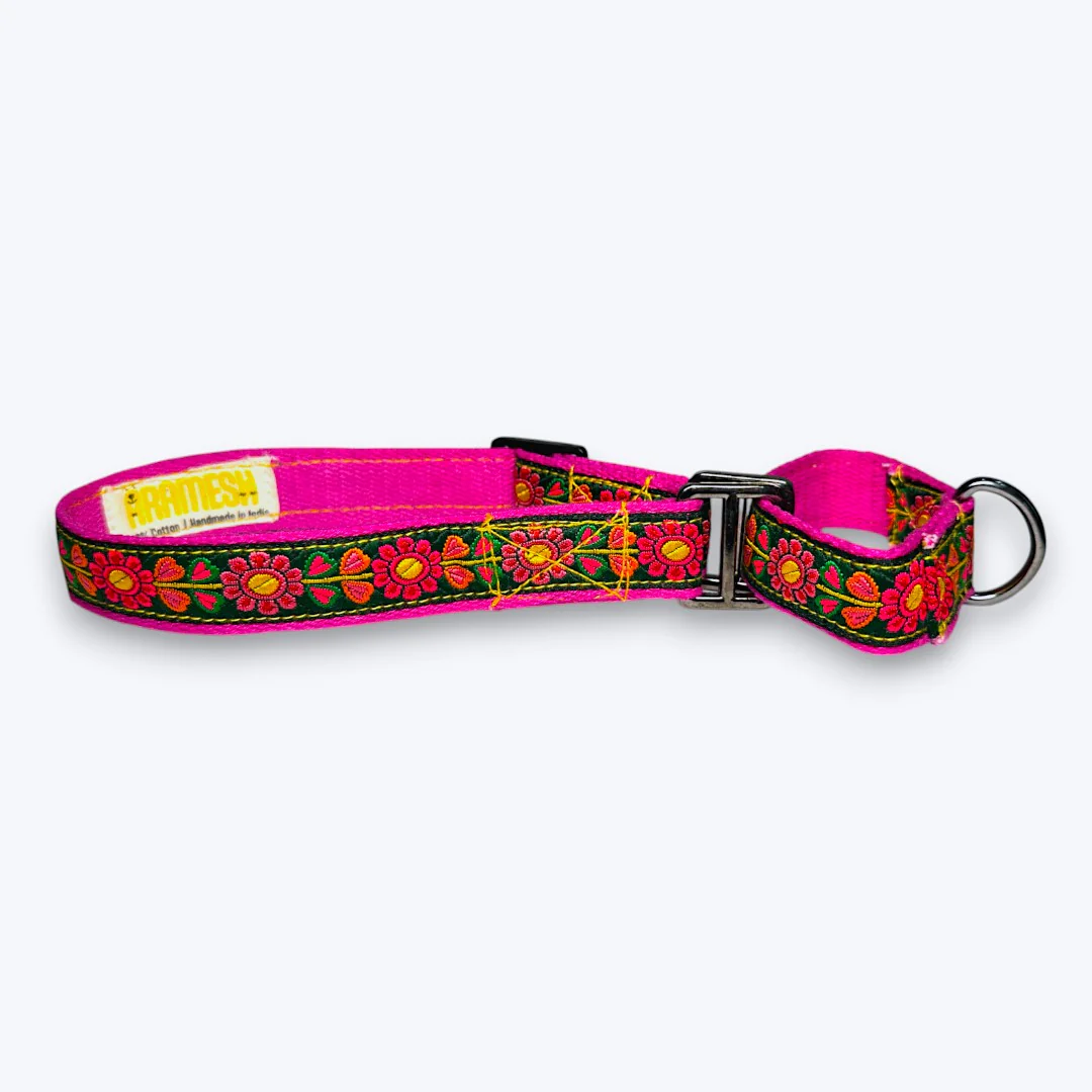 Aramesh Emerald Glow Martingale Collar for Dogs (Pink and Green) - Image 3