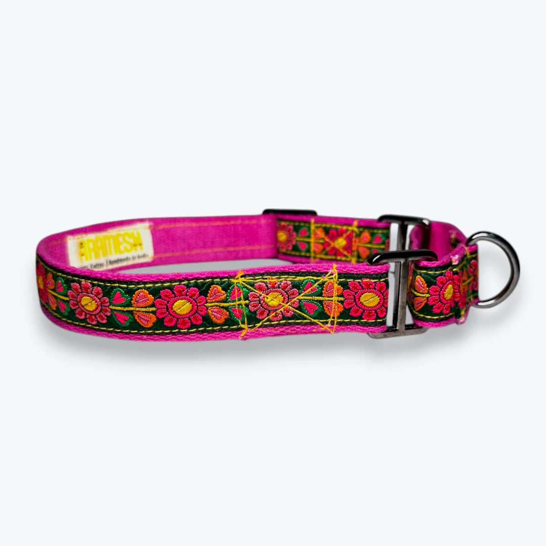 Aramesh Emerald Glow Martingale Collar for Dogs (Pink and Green) - Image 4
