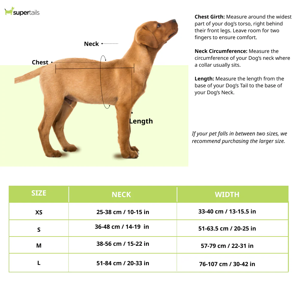 Aramesh Emerald Trails Harness for Dogs (Pink & Green) - Image 2