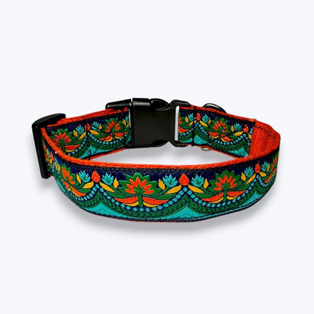 Aramesh Fire and Ice Adjustable Collar for Dogs (Orange and Green) - Image 3