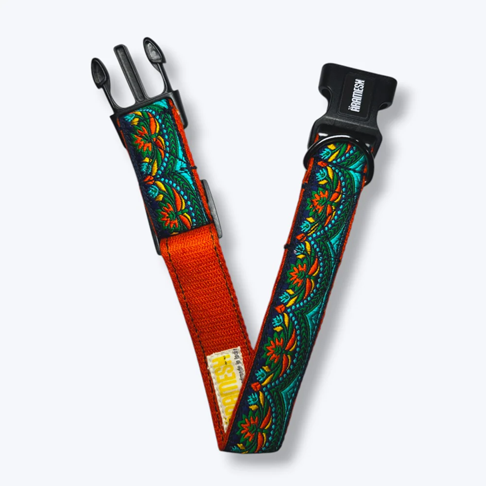 Aramesh Fire and Ice Adjustable Collar for Dogs (Orange and Green) - Image 4