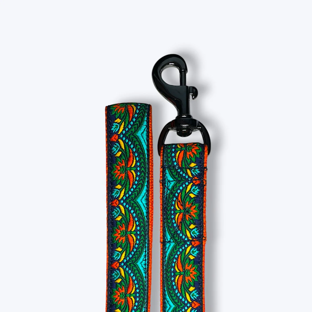 Aramesh Fire and Ice Leash for Dogs (Orange and Green) - Image 3