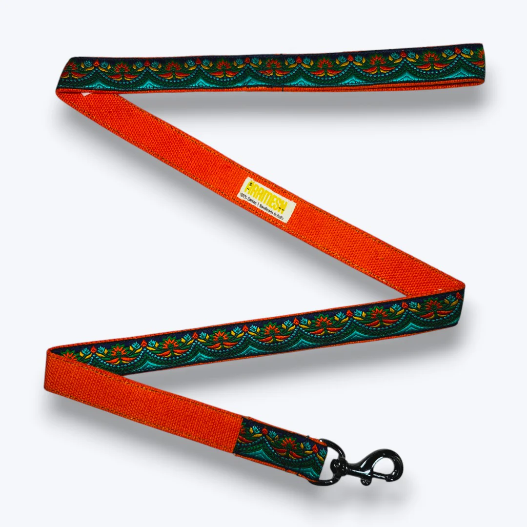 Aramesh Fire and Ice Leash for Dogs (Orange and Green) - Image 4