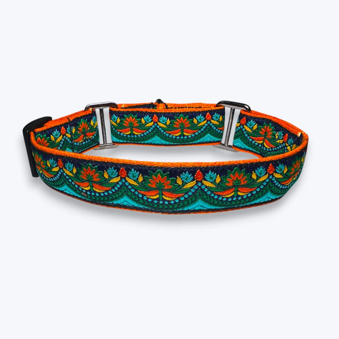 Aramesh Fire and Ice Martingale Collar for Dogs (Orange and Green) - Image 3
