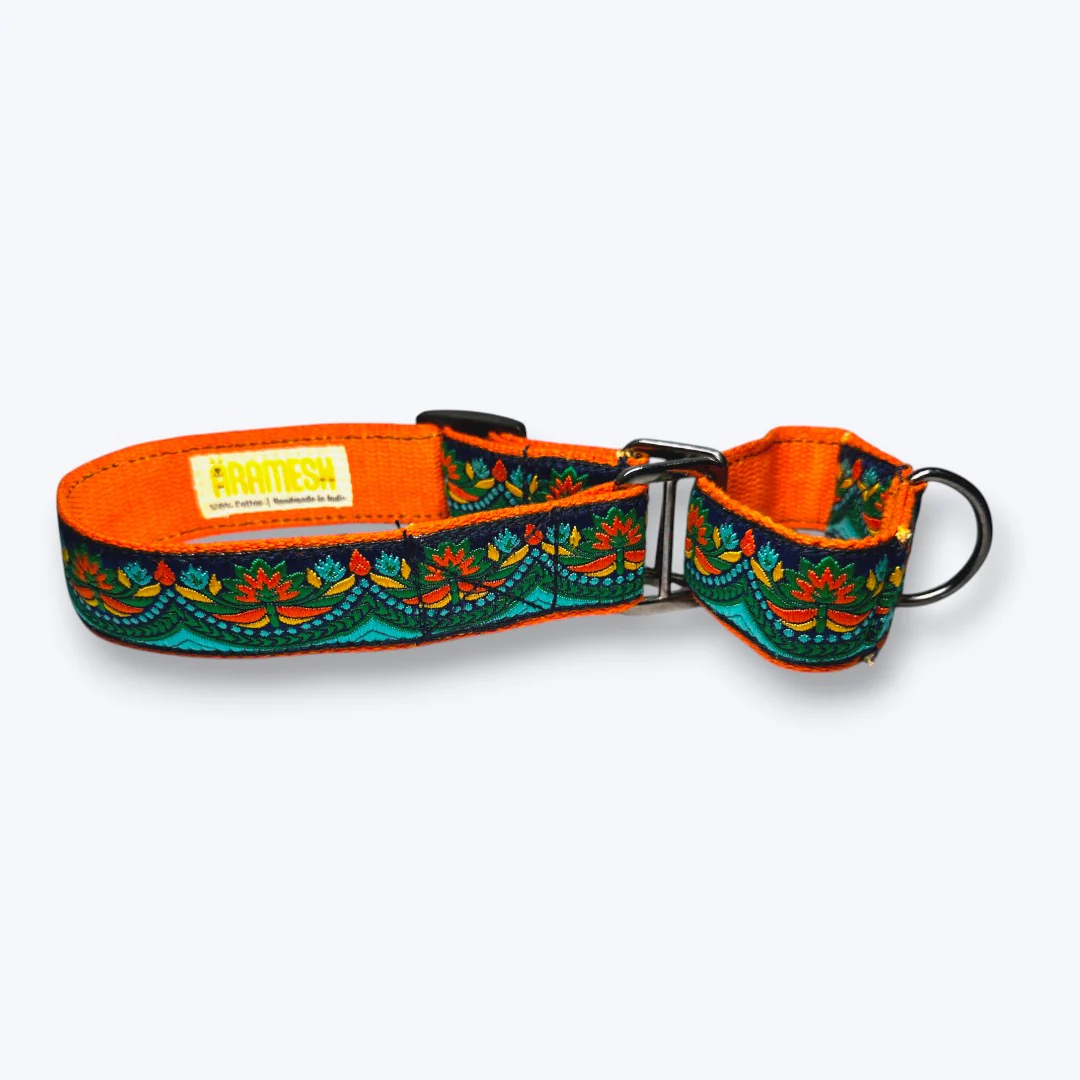 Aramesh Fire and Ice Martingale Collar for Dogs (Orange and Green) - Image 4