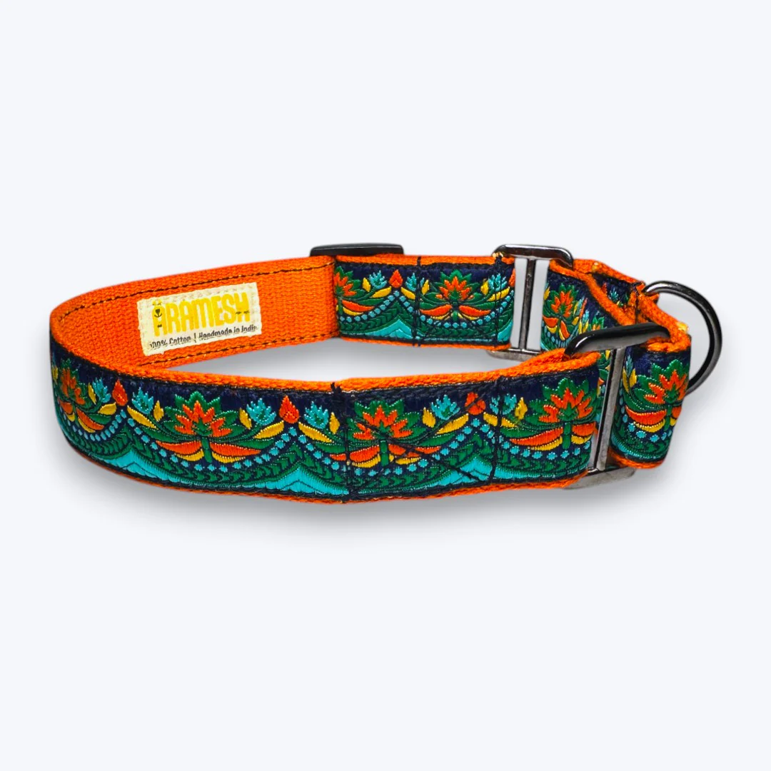Aramesh Fire and Ice Martingale Collar for Dogs (Orange and Green) - Image 5