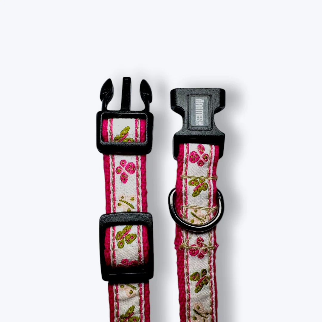 Aramesh Garden Whisper Collar for Cats (Pink and White) - Image 3