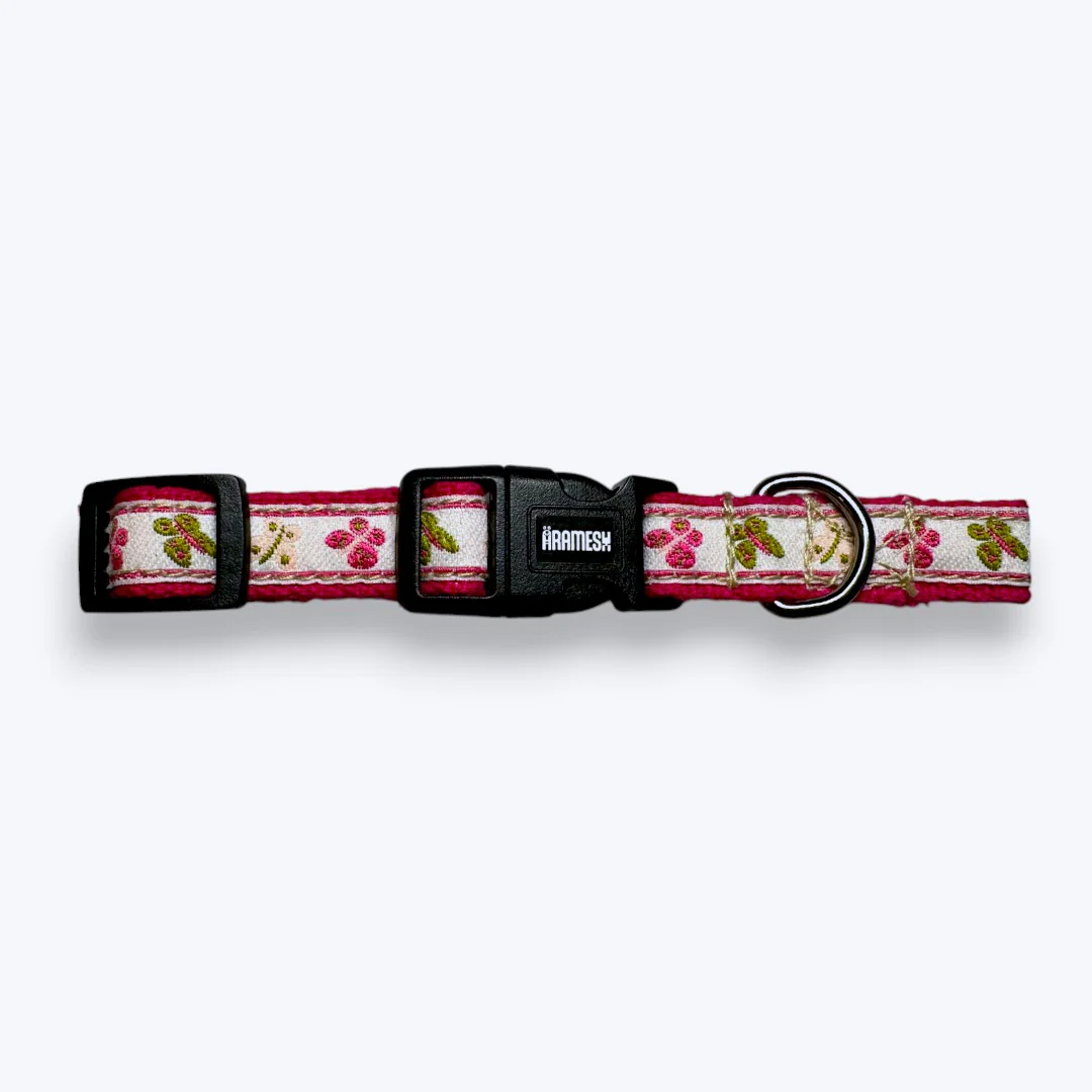 Aramesh Garden Whisper Collar for Cats (Pink and White) - Image 4