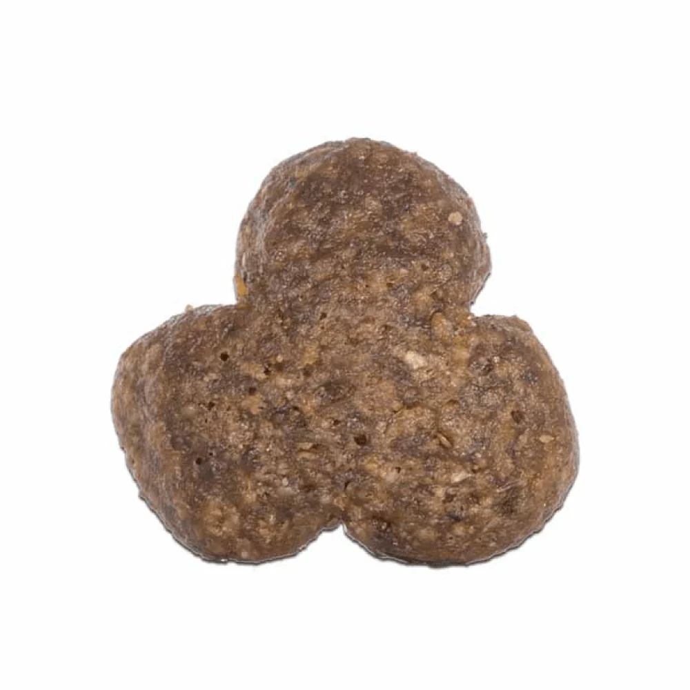 Arden Grange Chicken & Rice Adult Dog Dry Food - Image 4