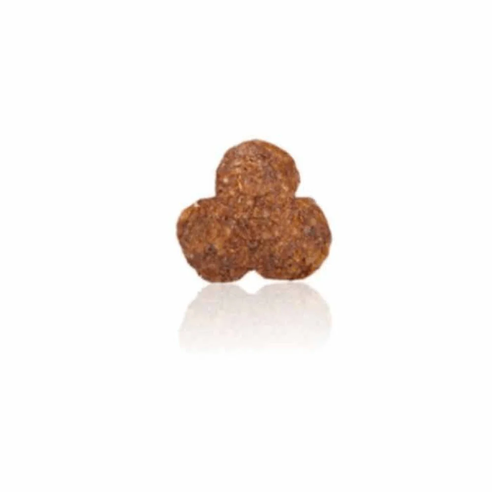 Arden Grange Sensitive Adult Dry Dog Food | Ocean White Fish & Potato - Image 3