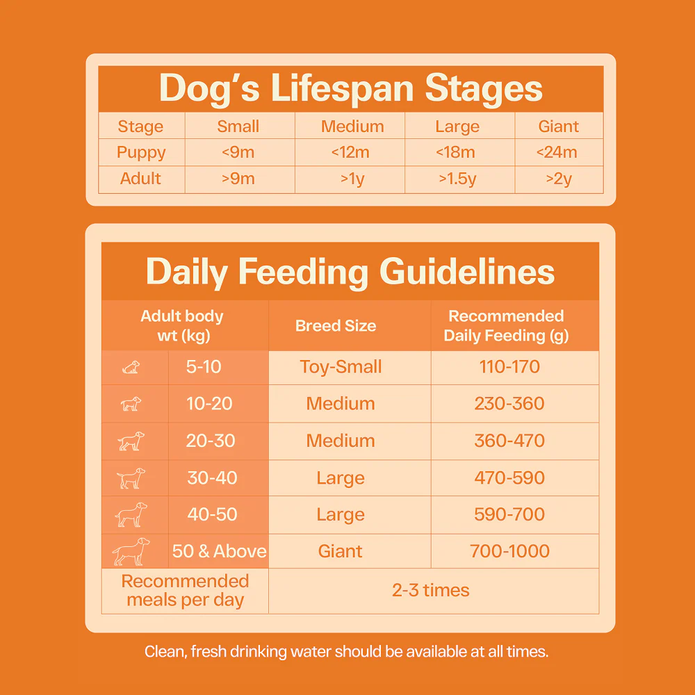 Avant Furst Chicken and Vegetable Adult Dog Dry Food - Image 2