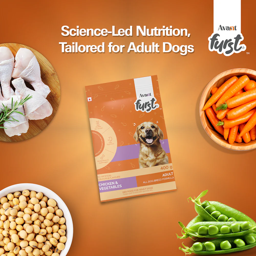 Avant Furst Chicken and Vegetable Adult Dog Dry Food - Image 5