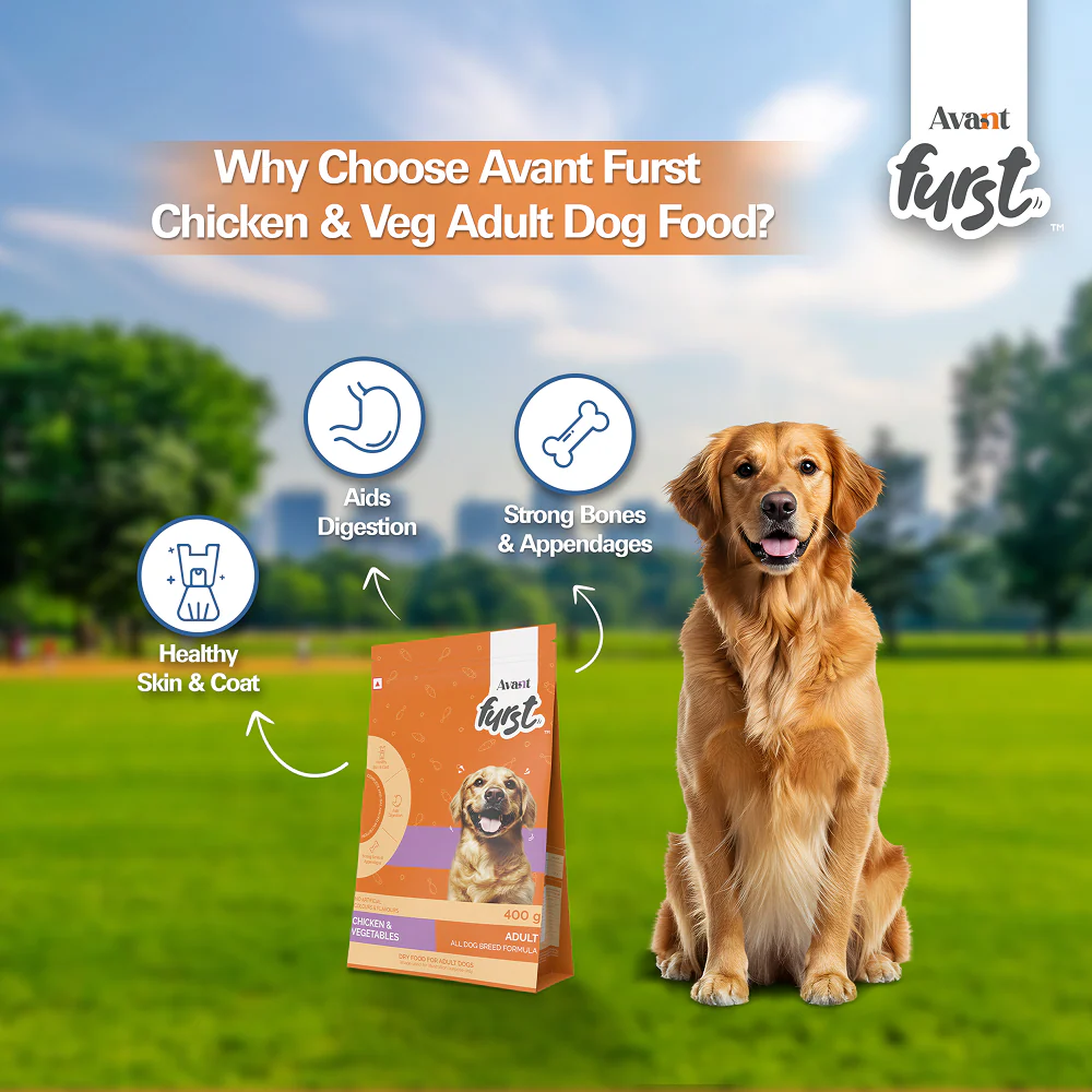Avant Furst Chicken and Vegetable Adult Dog Dry Food - Image 6