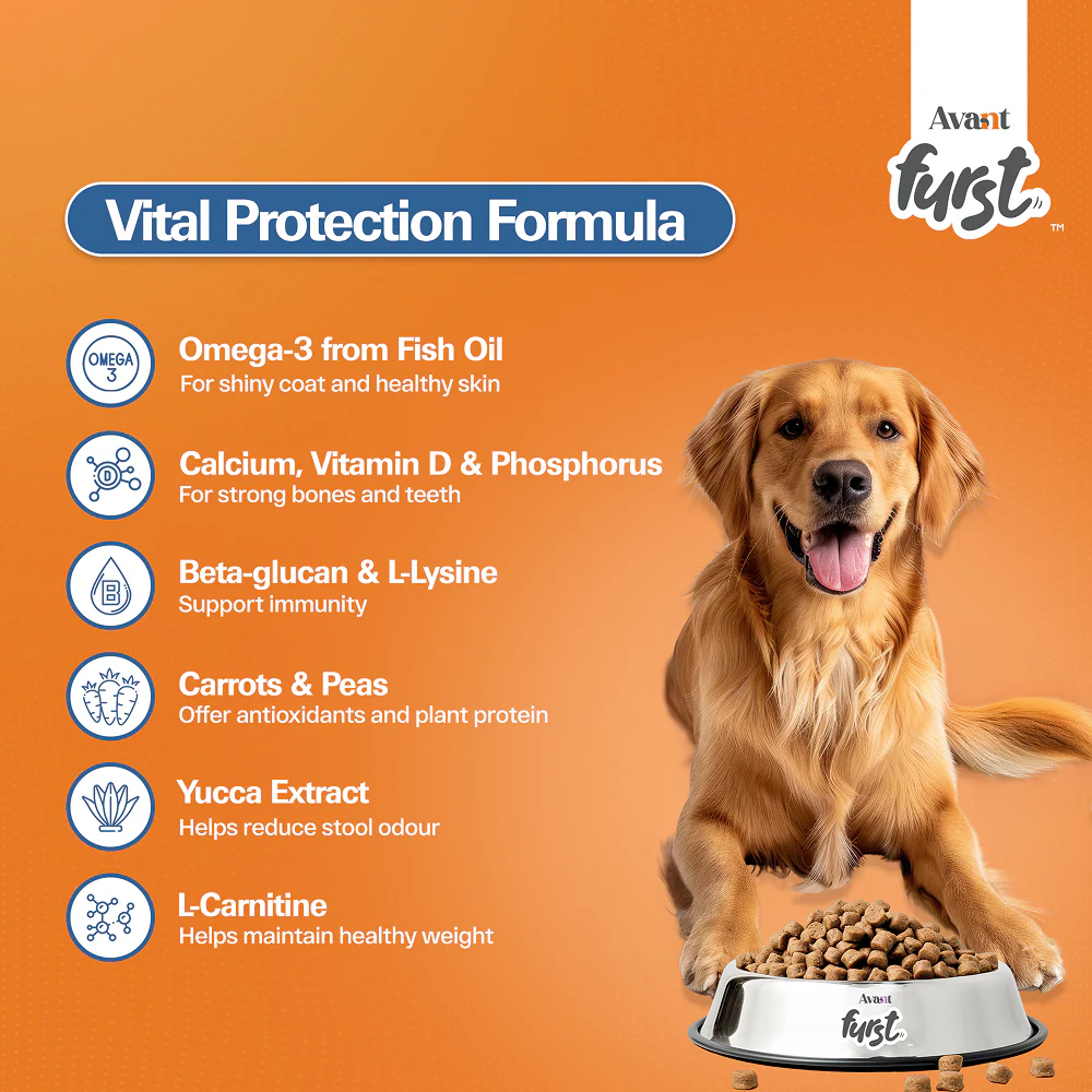 Avant Furst Chicken and Vegetable Adult Dog Dry Food - Image 7