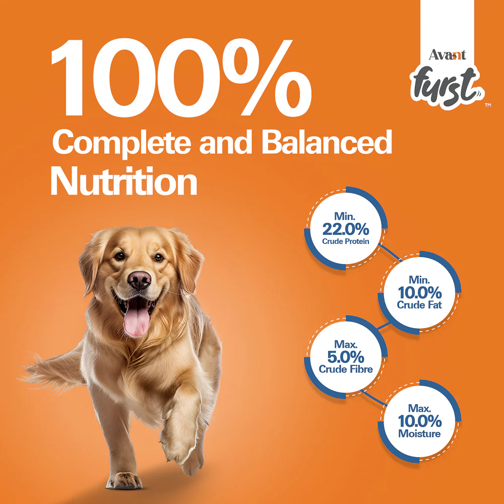Avant Furst Chicken and Vegetable Adult Dog Dry Food - Image 8