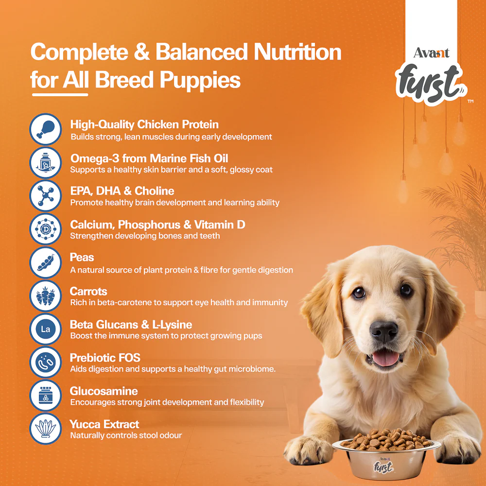 Avant Furst Chicken and Vegetable Puppy Dry Food - Image 7