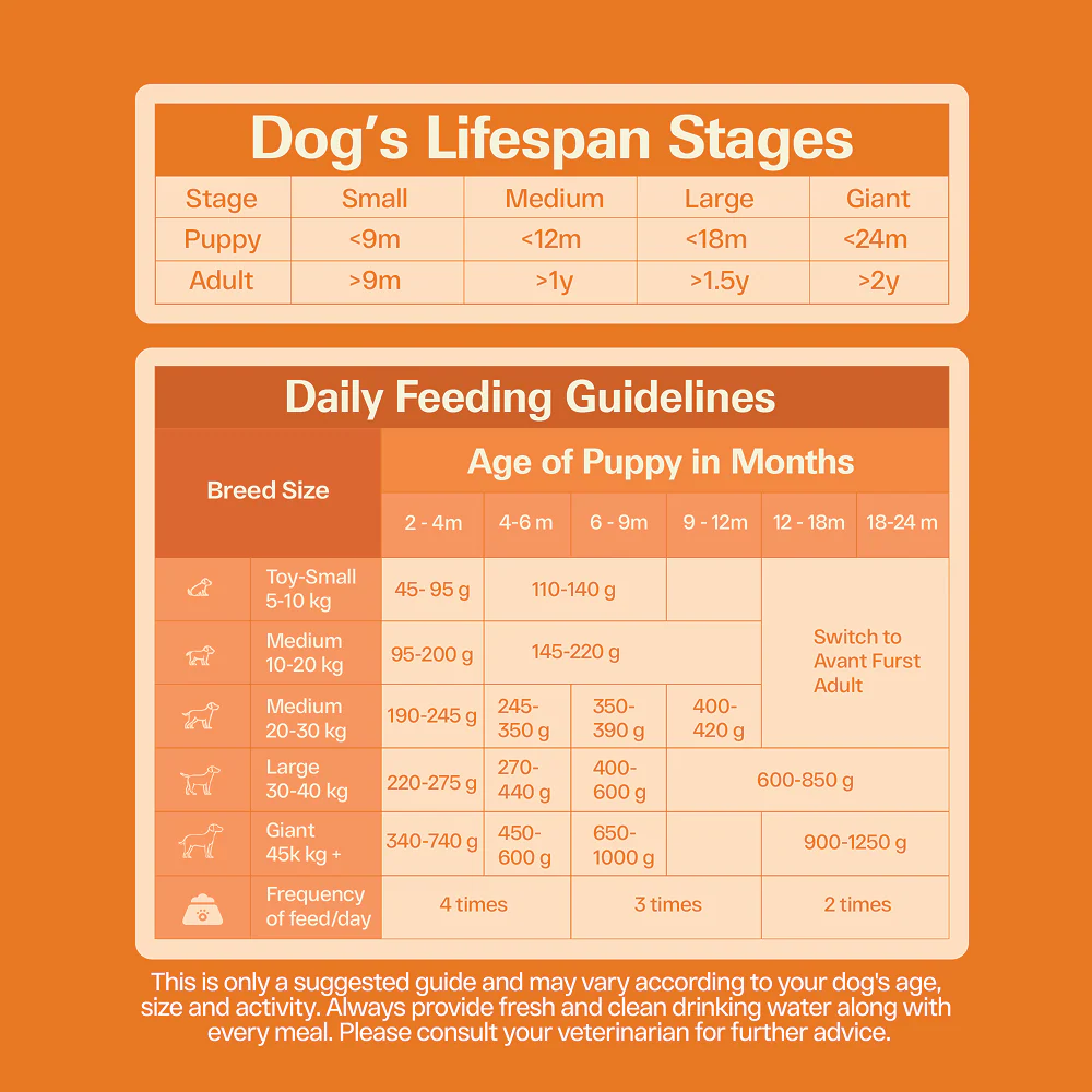 Avant Furst Chicken and Vegetable Puppy Dry Food - Image 9