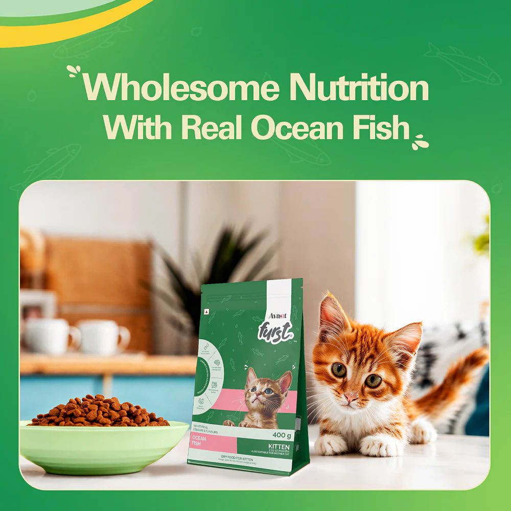 Avant Furst Ocean Fish Flavour Kitten Cat Dry Food - Image 3