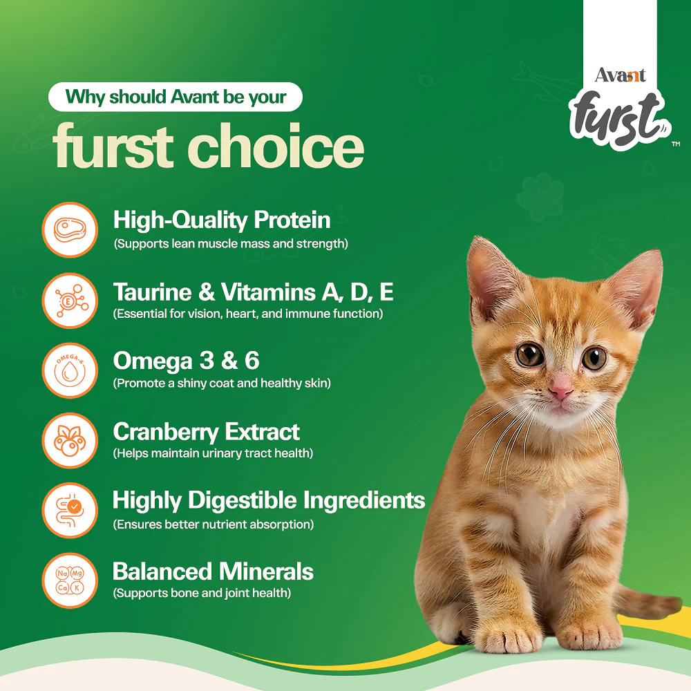Avant Furst Ocean Fish Flavour Kitten Cat Dry Food - Image 4