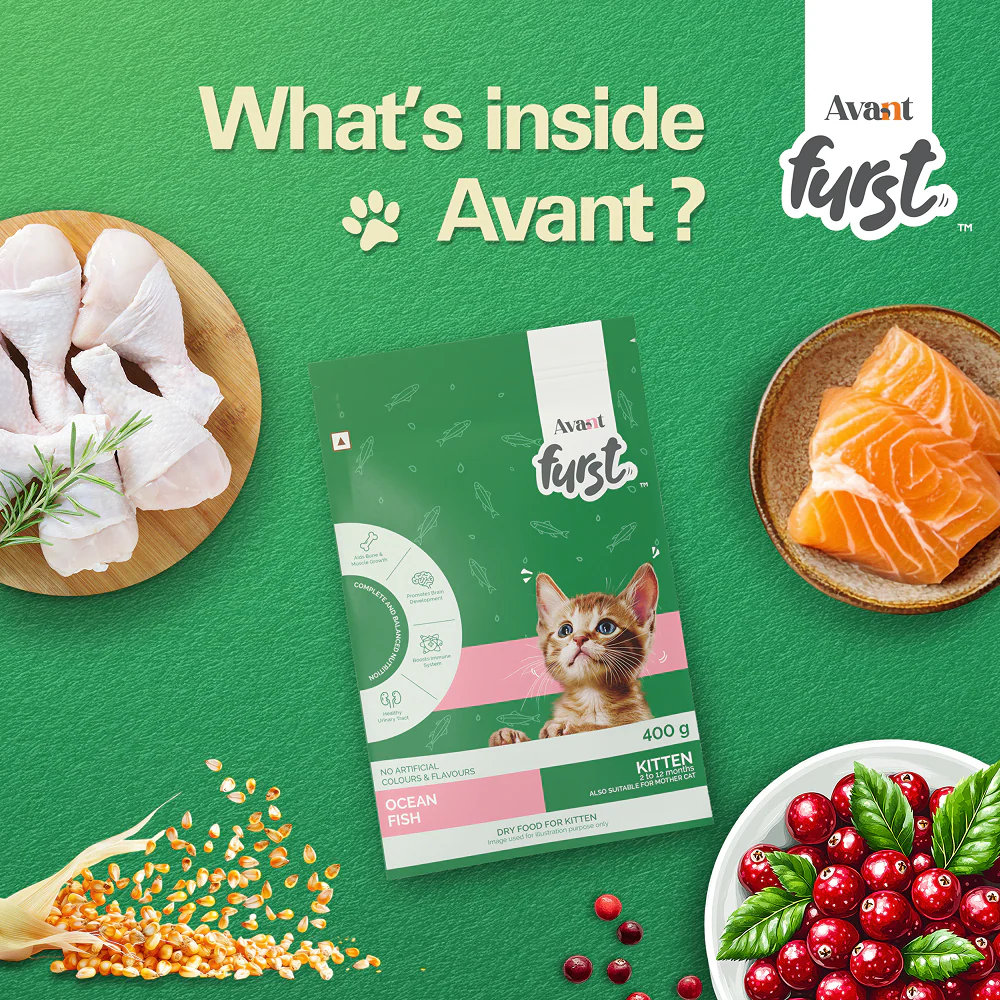 Avant Furst Ocean Fish Flavour Kitten Cat Dry Food - Image 5