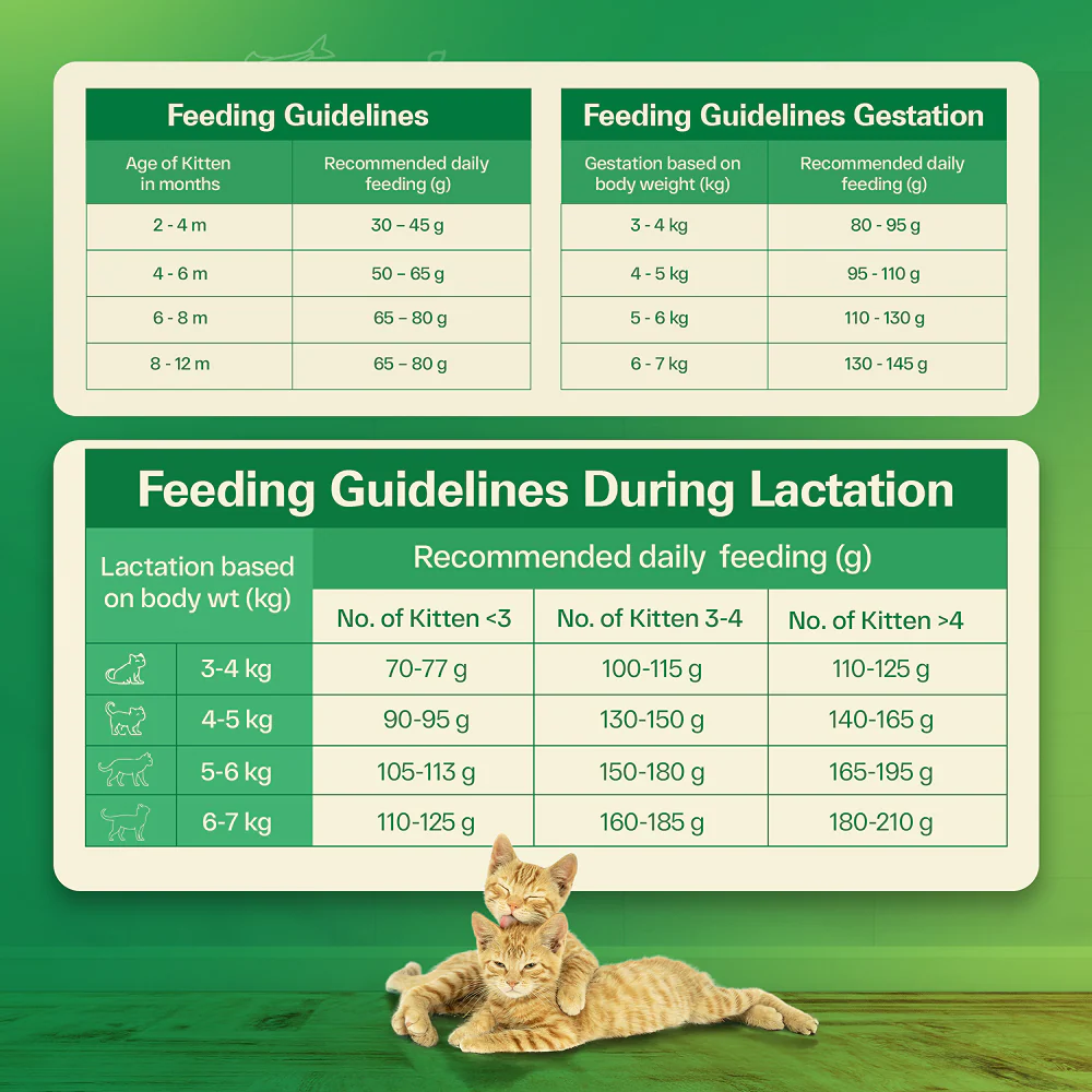 Avant Furst Ocean Fish Flavour Kitten Cat Dry Food - Image 7