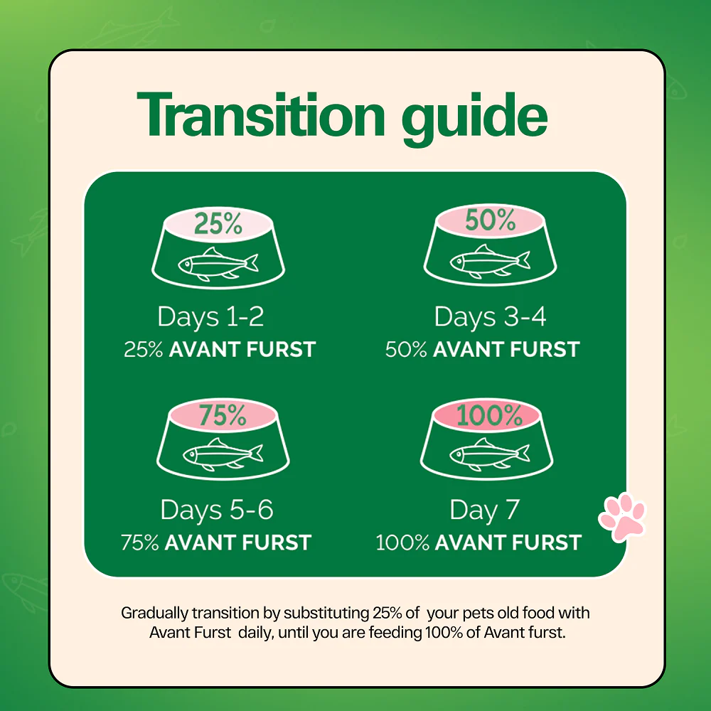 Avant Furst Ocean Fish Flavour Kitten Cat Dry Food - Image 8
