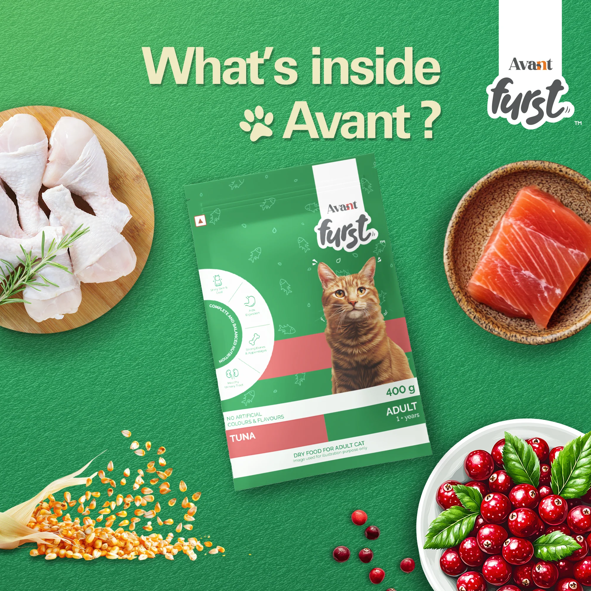 Avant Furst Tuna Fish Flavour Adult Cat Dry Food - Image 6