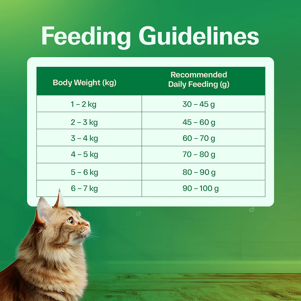 Avant Furst Tuna Fish Flavour Adult Cat Dry Food - Image 8