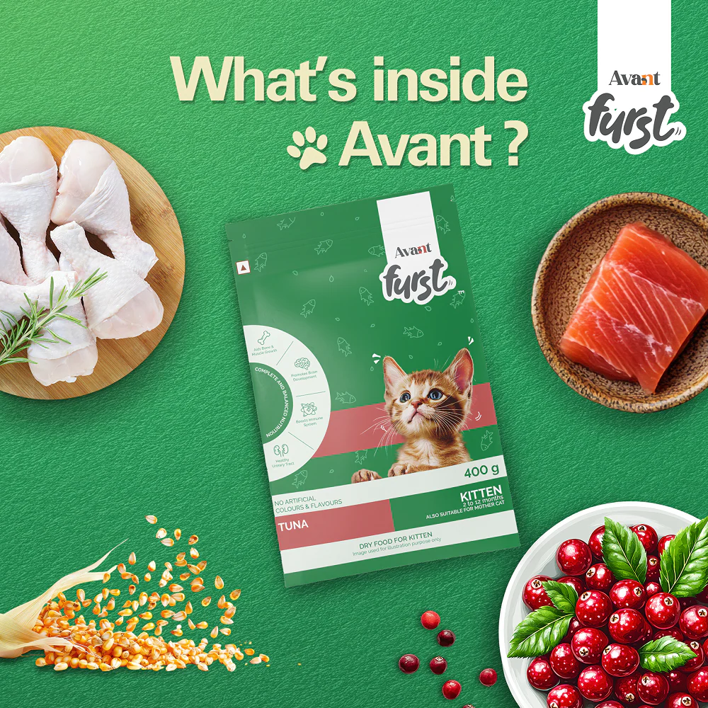 Avant Furst Tuna Fish Flavour Kitten Cat Dry Food - Image 6